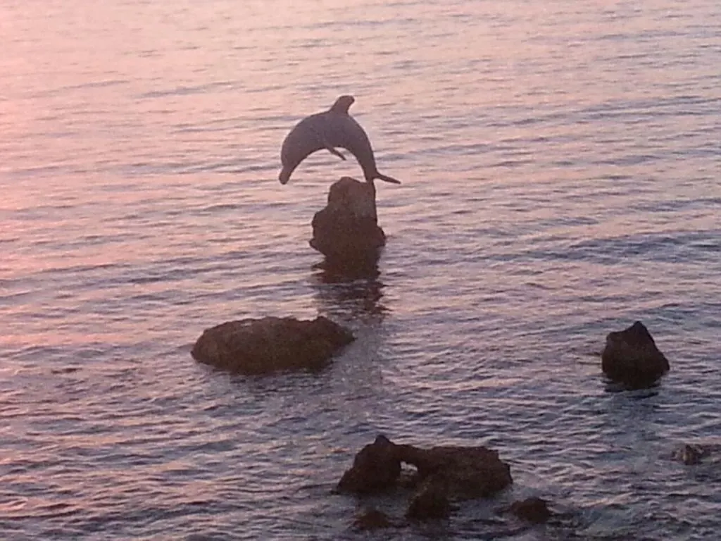 Bed & Breakfast B&B Antica Botte Sassari